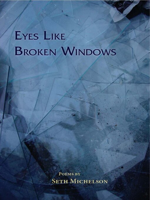 Cover image for Eyes like broken windows